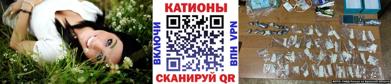 МЯУ-МЯУ 4 MMC  Луза 